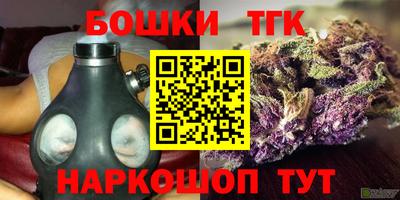 крисы Кунгур