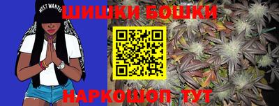 крисы Кунгур