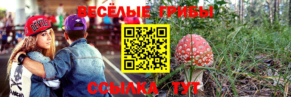 Галлюциногенные грибы мицелий  Вход с VPN  Вязьма 