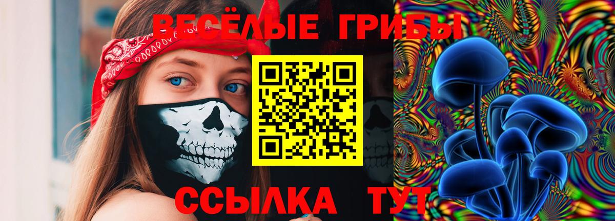 Галлюциногенные грибы GOLDEN TEACHER Вязьма